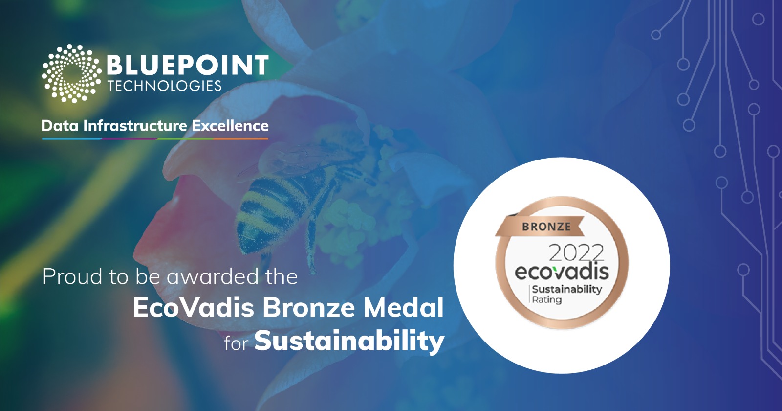 Bluepoint Awarded BronzeEcoVadis Rating