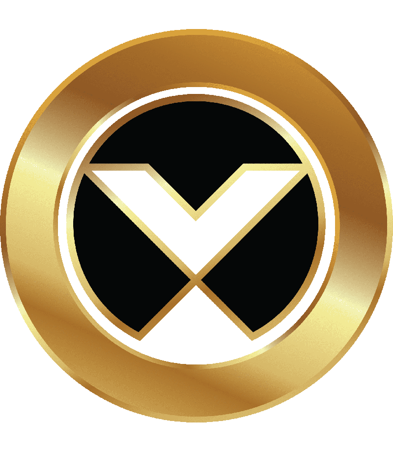 Vertiv Platinum Partner